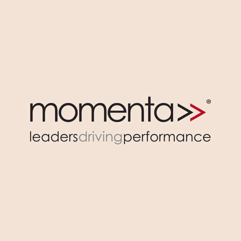 Momenta's Logo, created by STUDIO DAM